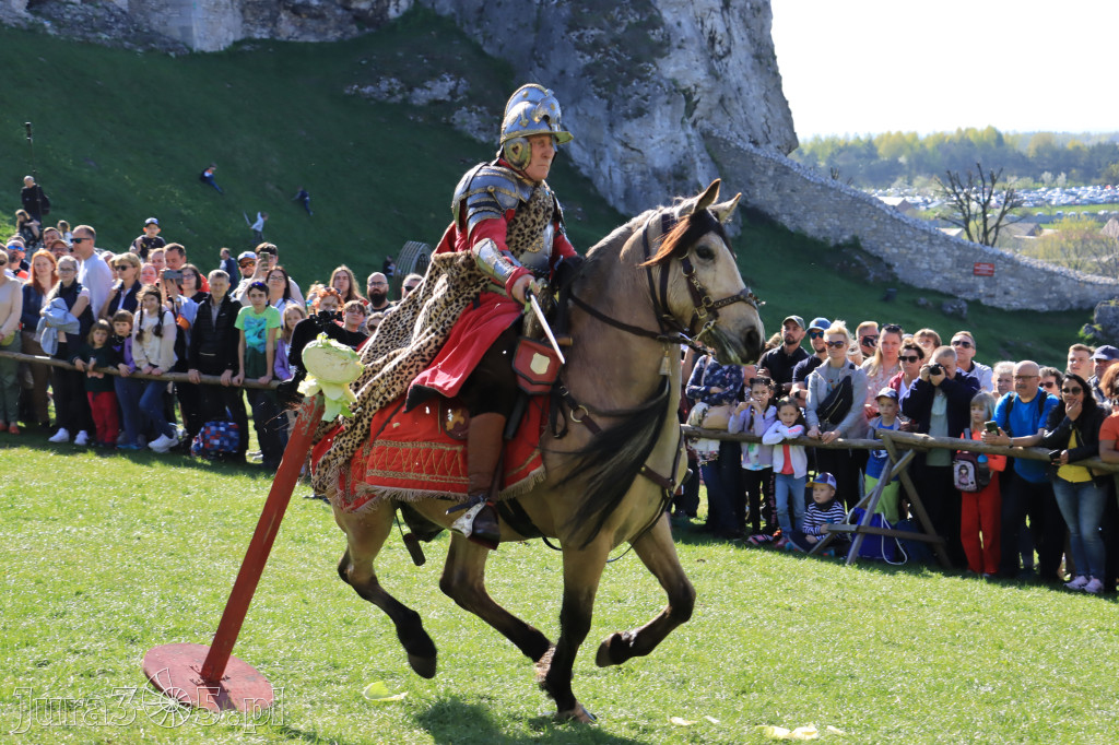 Fotorelacja: Pokazy Konne ,,Husaria - skrzydlaci rycerze