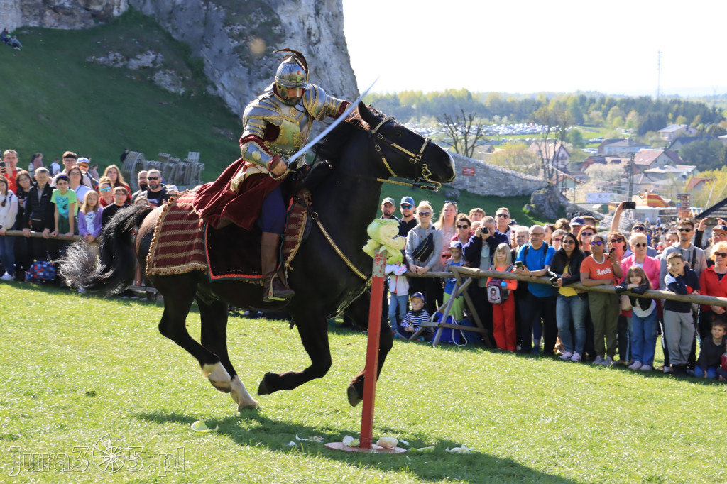 Fotorelacja: Pokazy Konne ,,Husaria - skrzydlaci rycerze