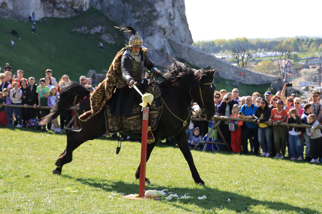 Fotorelacja: Pokazy Konne ,,Husaria - skrzydlaci rycerze