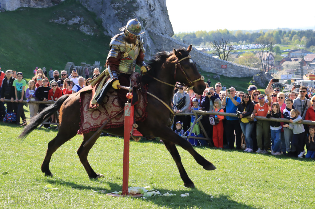 Fotorelacja: Pokazy Konne ,,Husaria - skrzydlaci rycerze