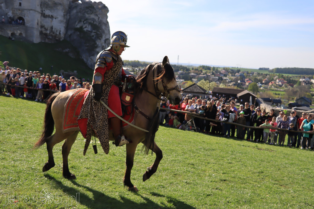 Fotorelacja: Pokazy Konne ,,Husaria - skrzydlaci rycerze