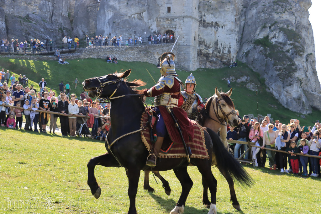 Fotorelacja: Pokazy Konne ,,Husaria - skrzydlaci rycerze