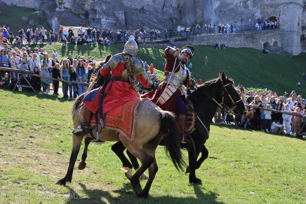 Fotorelacja: Pokazy Konne ,,Husaria - skrzydlaci rycerze