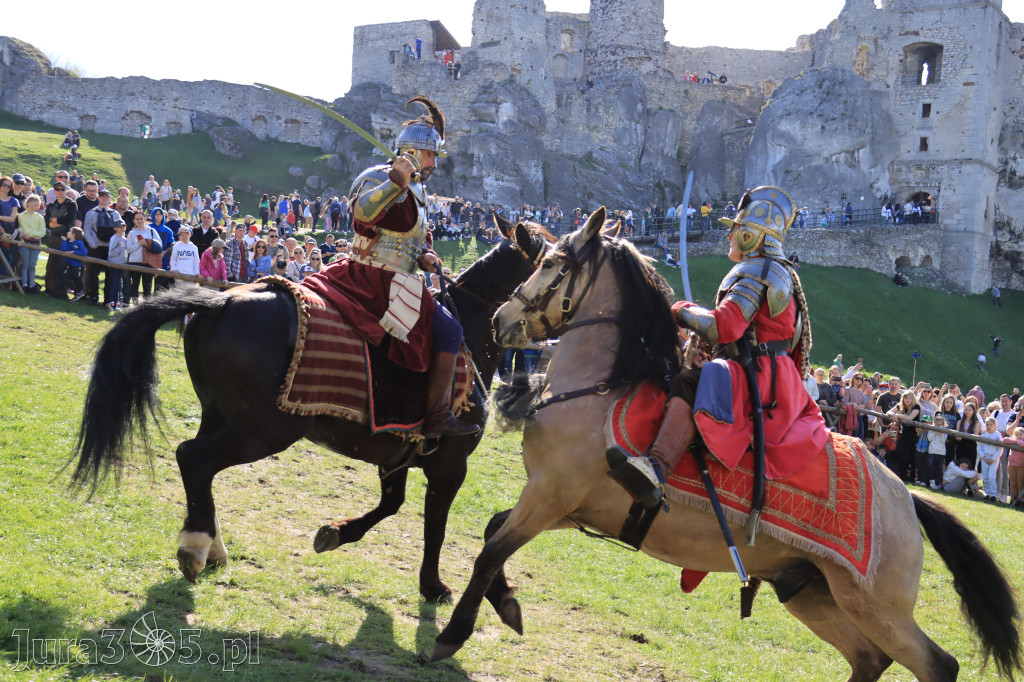 Fotorelacja: Pokazy Konne ,,Husaria - skrzydlaci rycerze