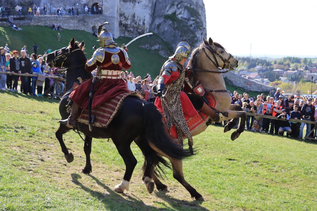 Fotorelacja: Pokazy Konne ,,Husaria - skrzydlaci rycerze