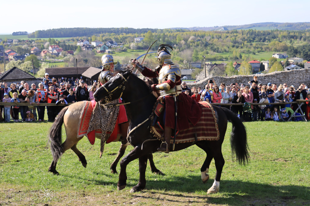 Fotorelacja: Pokazy Konne ,,Husaria - skrzydlaci rycerze