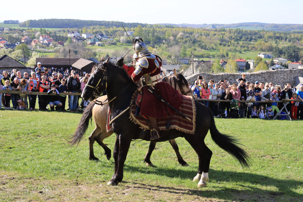 Fotorelacja: Pokazy Konne ,,Husaria - skrzydlaci rycerze