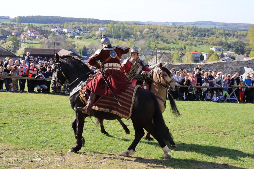 Fotorelacja: Pokazy Konne ,,Husaria - skrzydlaci rycerze