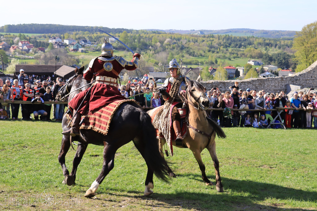 Fotorelacja: Pokazy Konne ,,Husaria - skrzydlaci rycerze