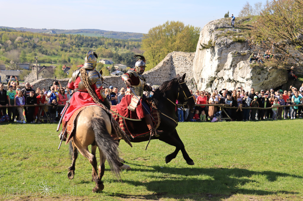 Fotorelacja: Pokazy Konne ,,Husaria - skrzydlaci rycerze
