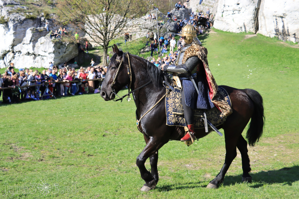 Fotorelacja: Pokazy Konne ,,Husaria - skrzydlaci rycerze