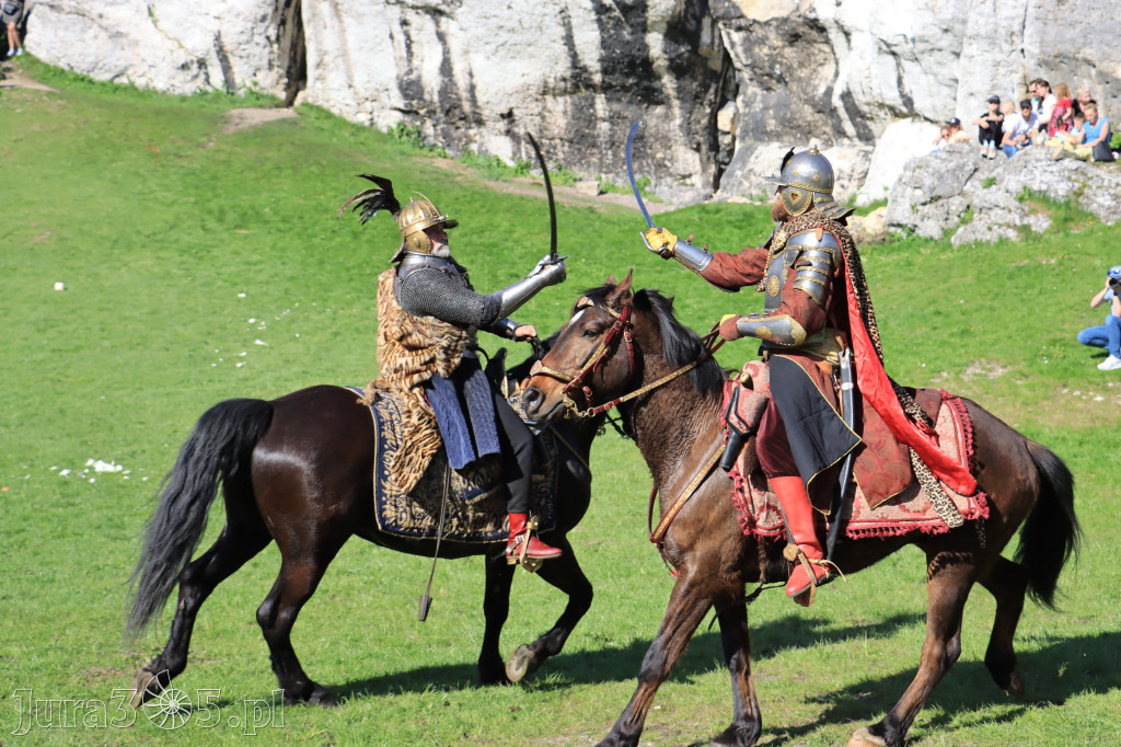 Fotorelacja: Pokazy Konne ,,Husaria - skrzydlaci rycerze