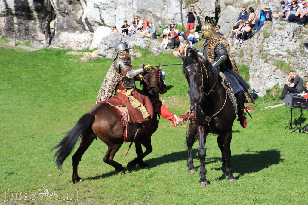 Fotorelacja: Pokazy Konne ,,Husaria - skrzydlaci rycerze