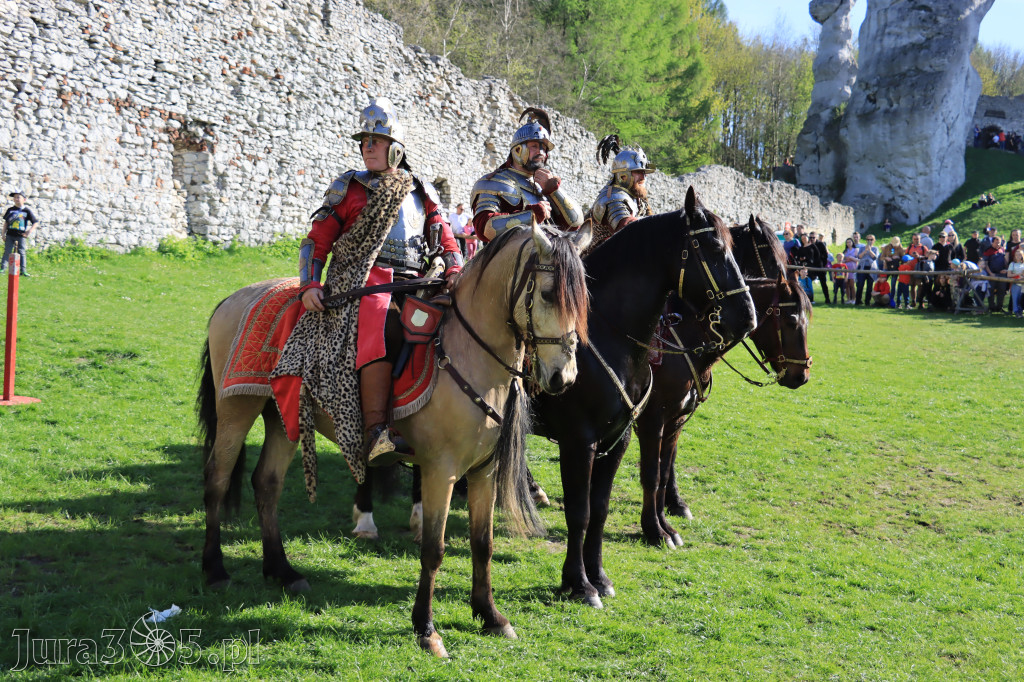 Fotorelacja: Pokazy Konne ,,Husaria - skrzydlaci rycerze