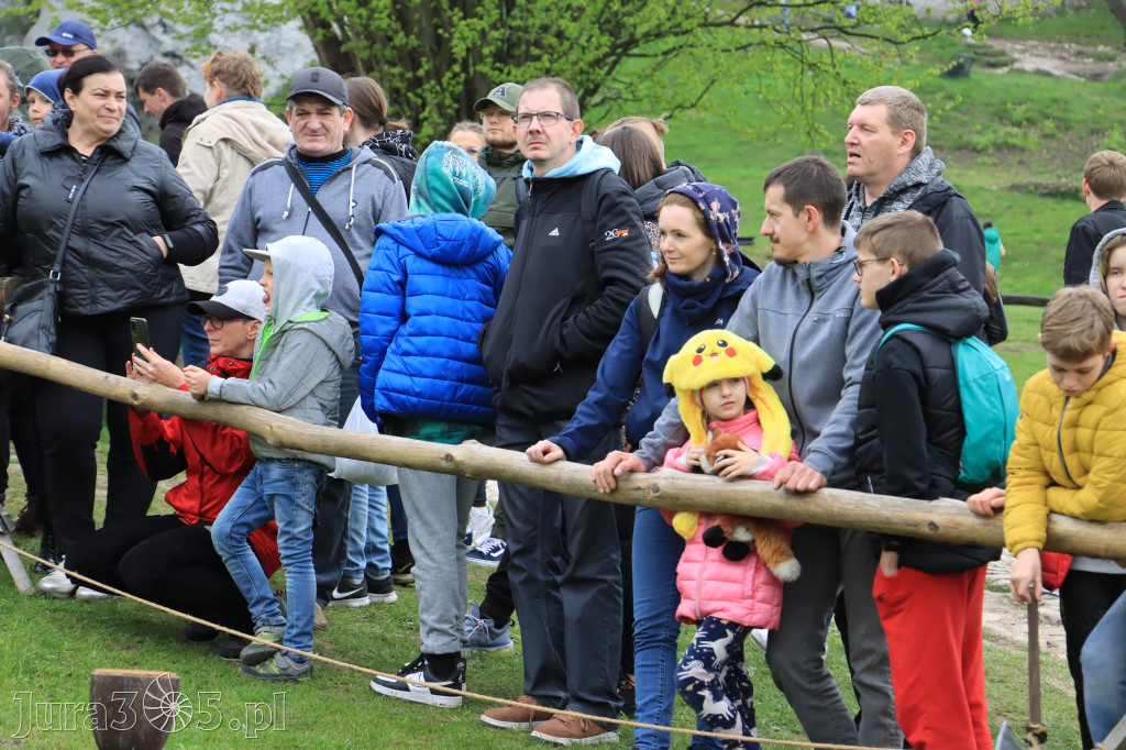 Fotorelacja z Zamku Ogrodzieniec Pokazy Sokolnicze