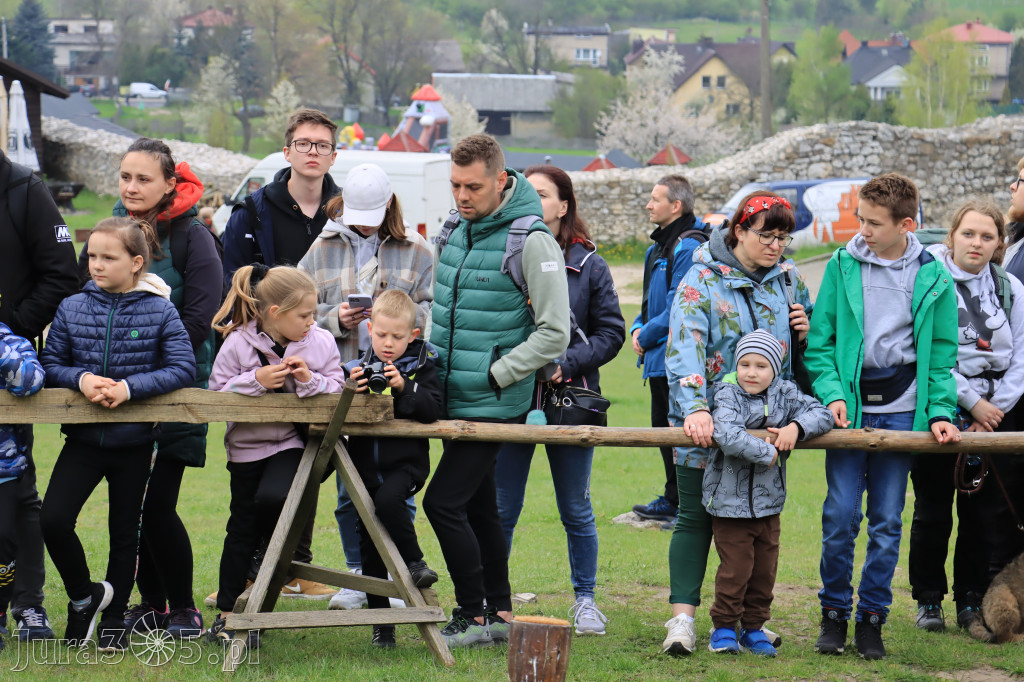 Fotorelacja z Zamku Ogrodzieniec Pokazy Sokolnicze