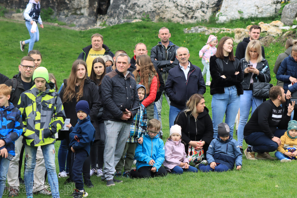 Fotorelacja z Zamku Ogrodzieniec Pokazy Sokolnicze