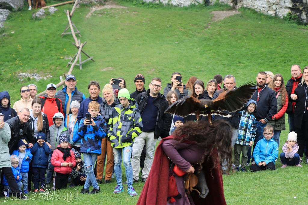 Fotorelacja z Zamku Ogrodzieniec Pokazy Sokolnicze