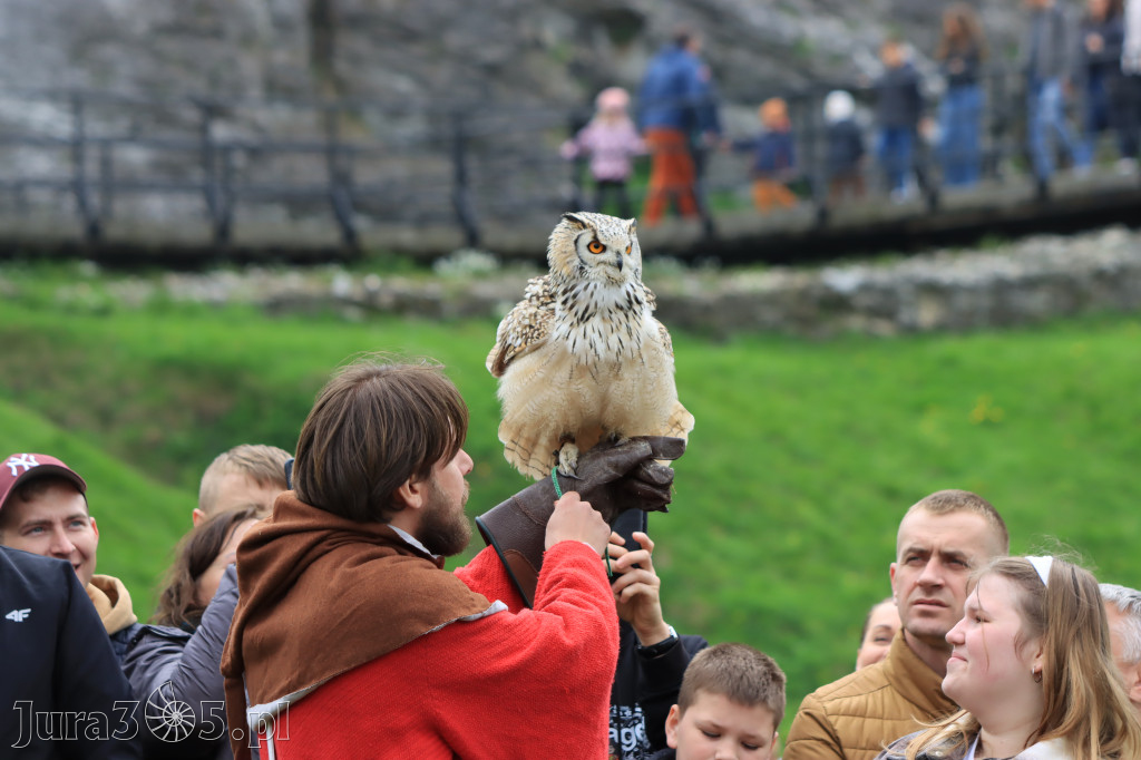 Fotorelacja z Zamku Ogrodzieniec Pokazy Sokolnicze