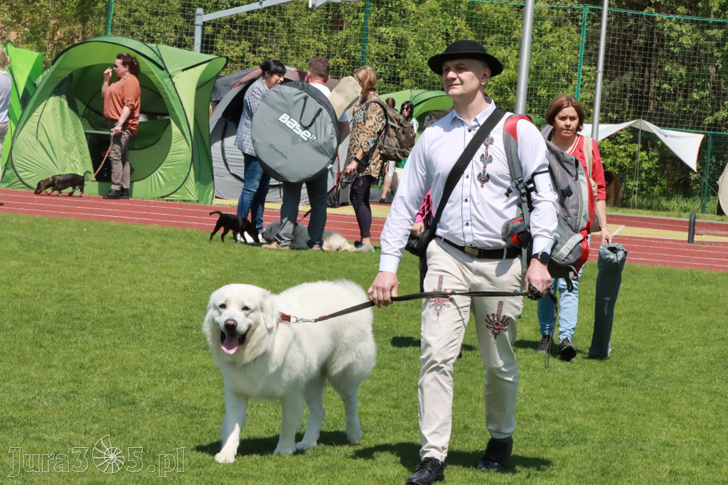 Fotorelacja - Wystawa Psów Rasowych GNIAZDÓW 2023r.