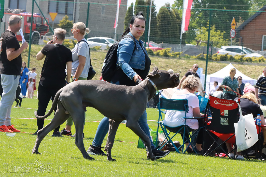 Fotorelacja - Wystawa Psów Rasowych GNIAZDÓW 2023r.