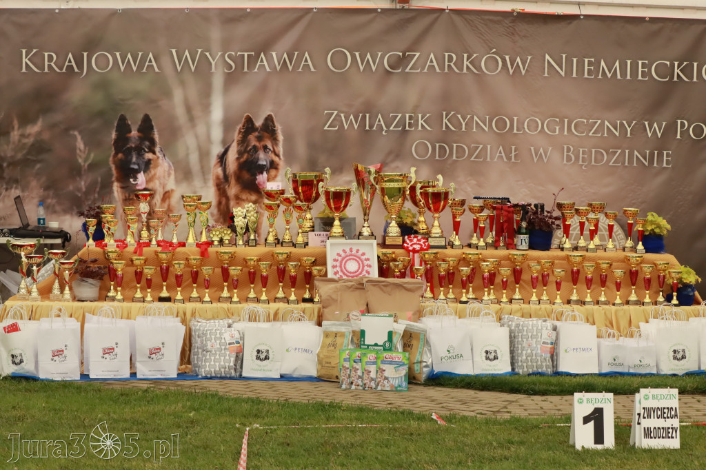 Fotorelacja - Wystawa Psów Rasowych GNIAZDÓW 2023r.