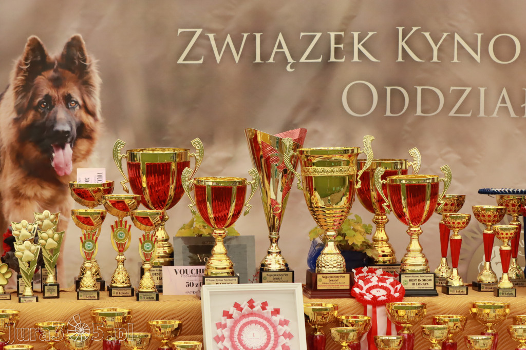 Fotorelacja - Wystawa Psów Rasowych GNIAZDÓW 2023r.