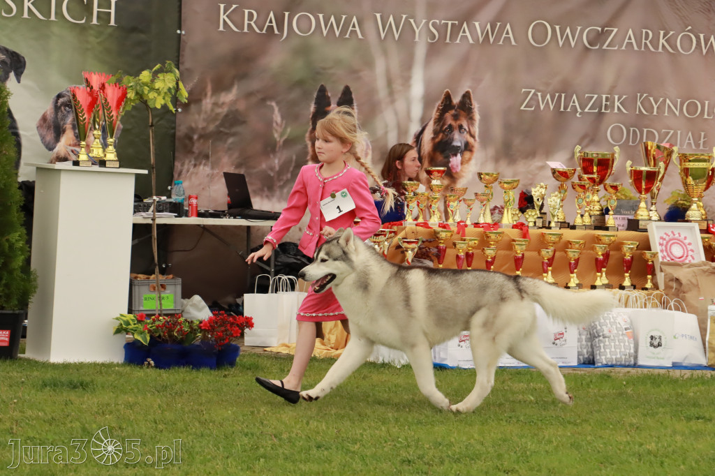 Wystawa Psów Rasowych w GNIAZDOWIE Konkurencje Finałowe