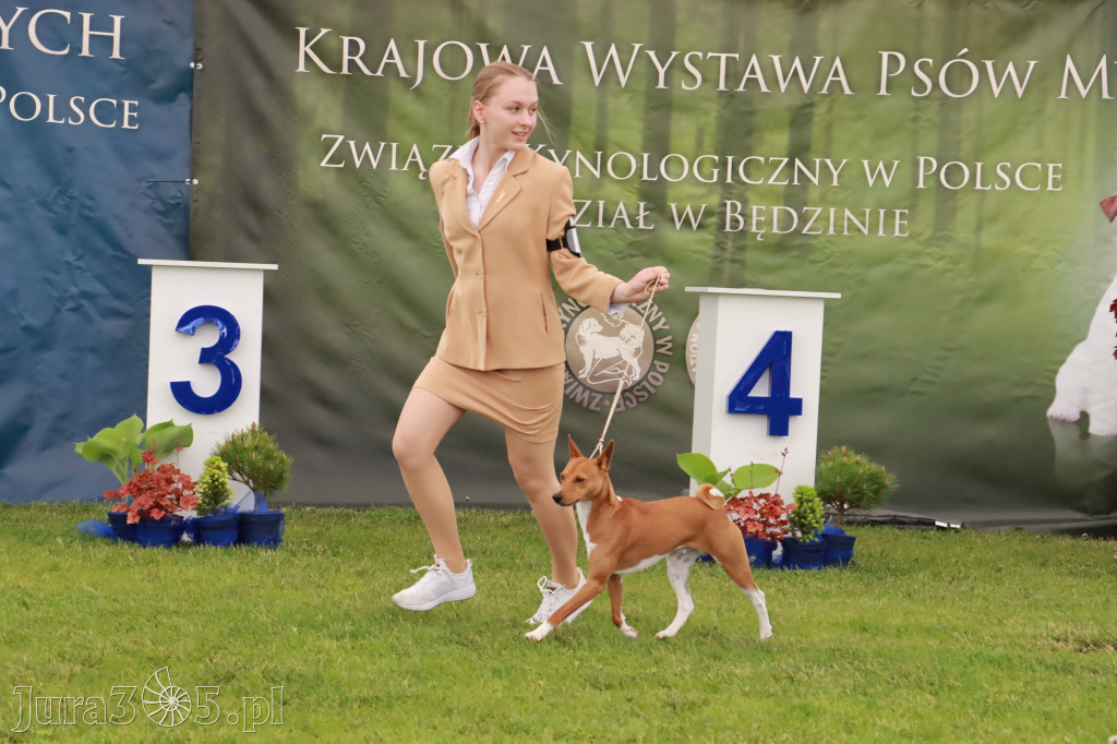 Wystawa Psów Rasowych w GNIAZDOWIE Konkurencje Finałowe