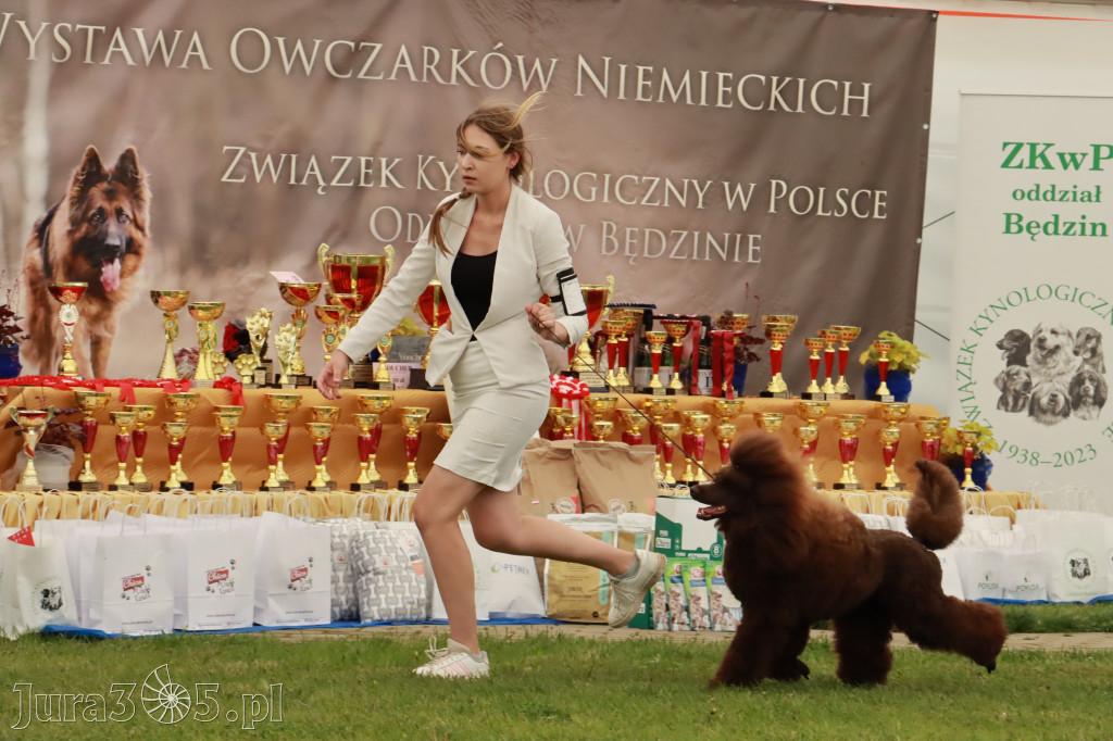 Wystawa Psów Rasowych w GNIAZDOWIE Konkurencje Finałowe
