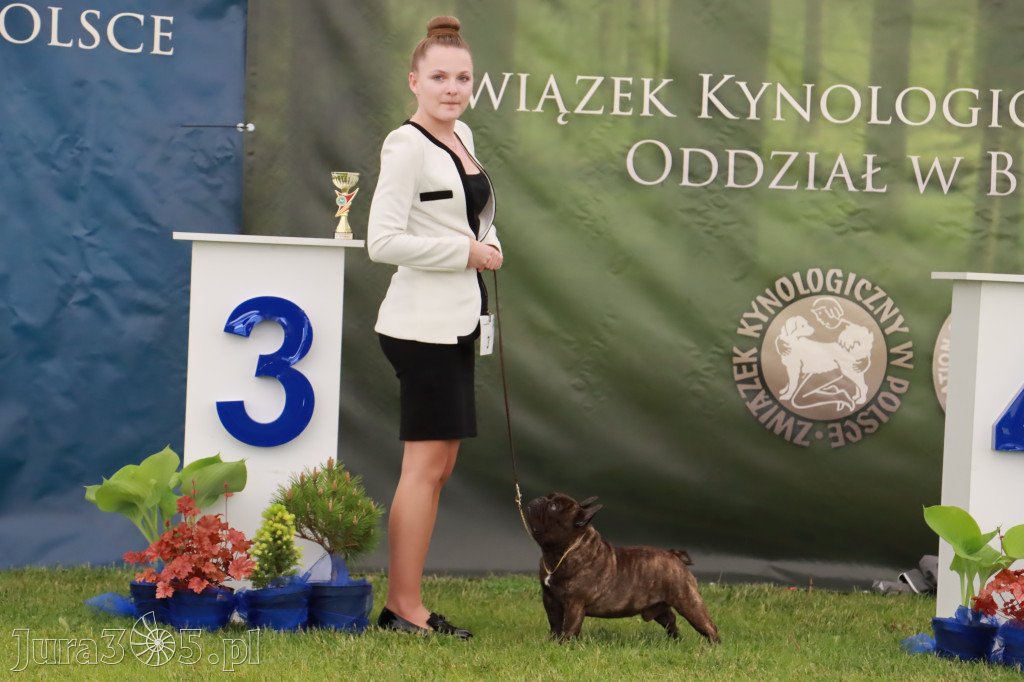 Wystawa Psów Rasowych w GNIAZDOWIE Konkurencje Finałowe