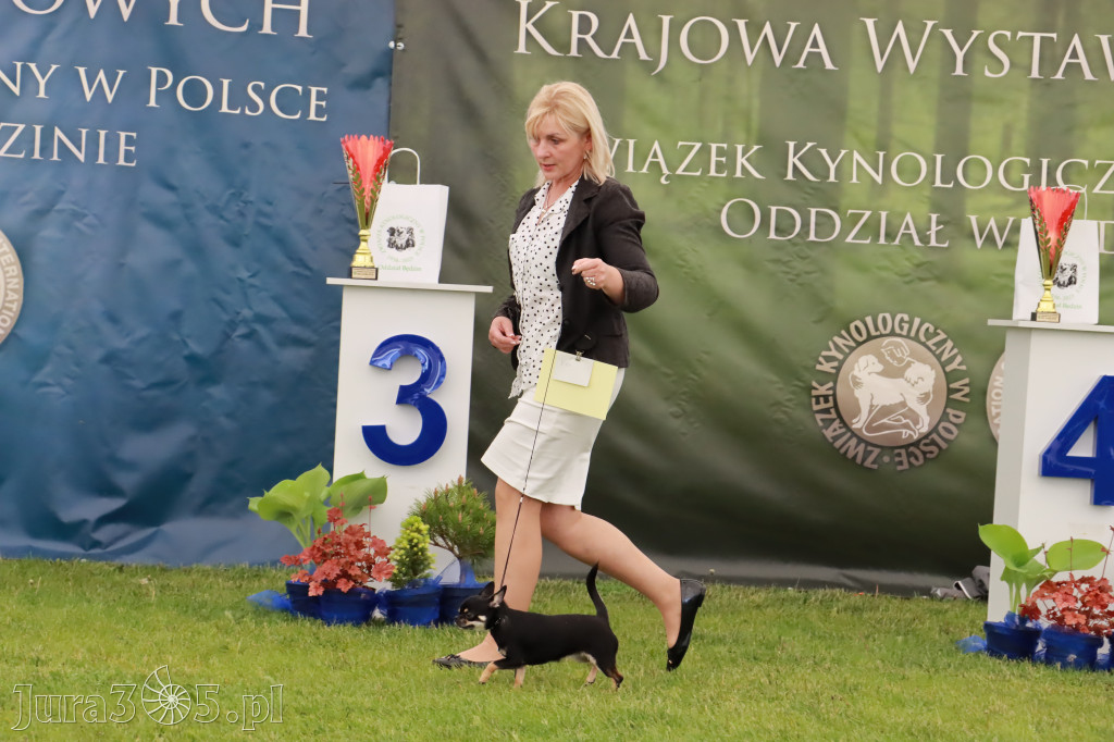 Wystawa Psów Rasowych w GNIAZDOWIE Konkurencje Finałowe