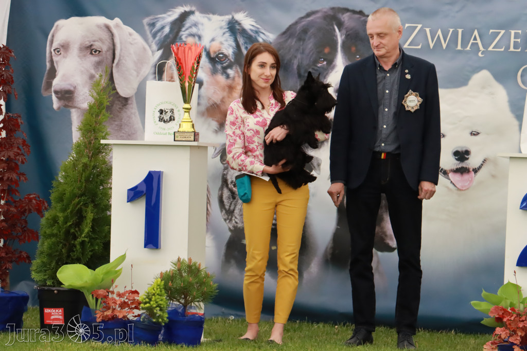 Wystawa Psów Rasowych w GNIAZDOWIE Konkurencje Finałowe