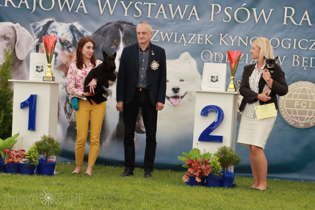 Wystawa Psów Rasowych w GNIAZDOWIE Konkurencje Finałowe