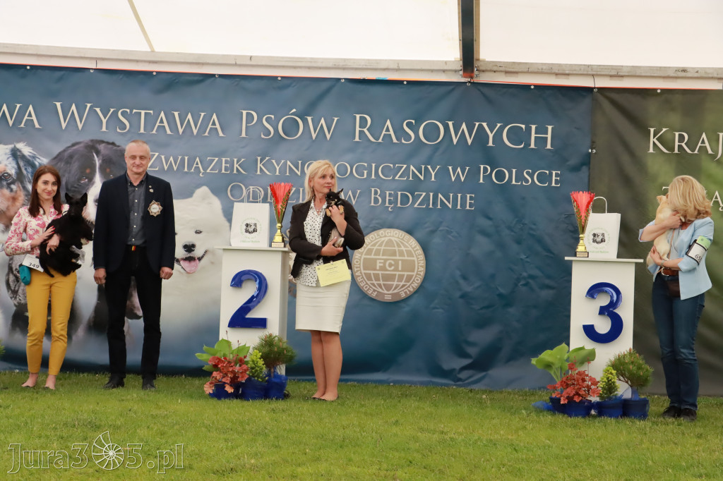 Wystawa Psów Rasowych w GNIAZDOWIE Konkurencje Finałowe