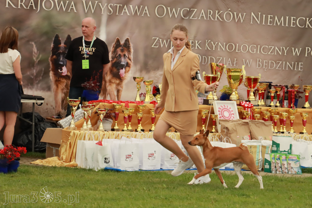 Wystawa Psów Rasowych w GNIAZDOWIE Konkurencje Finałowe