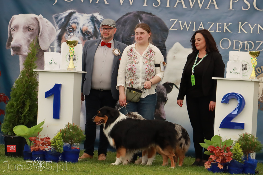 Wystawa Psów Rasowych w GNIAZDOWIE Konkurencje Finałowe