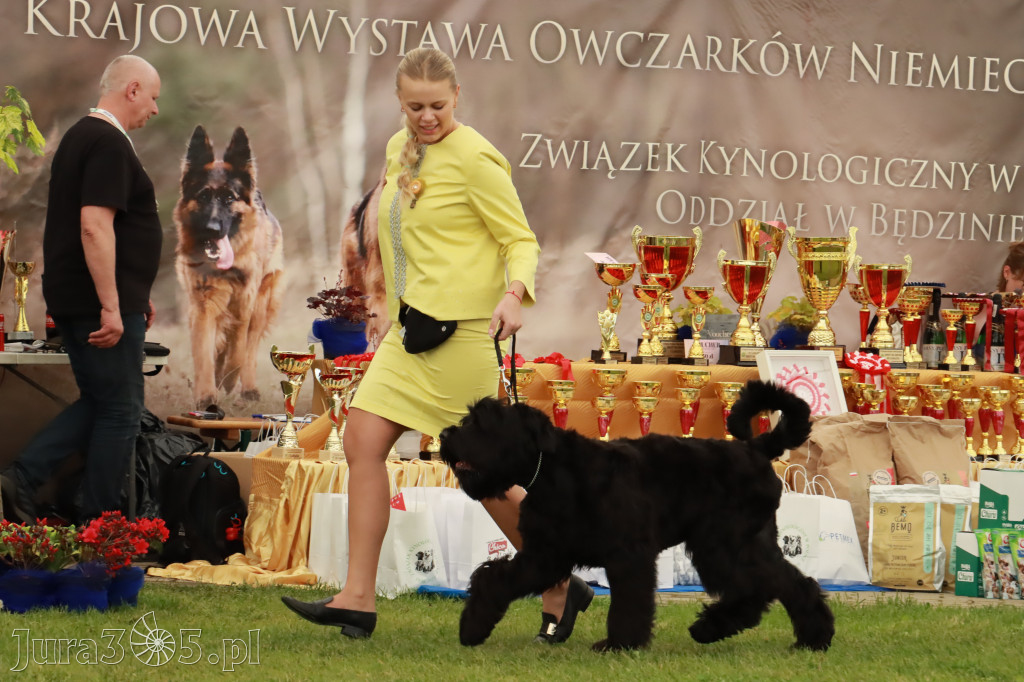 Wystawa Psów Rasowych w GNIAZDOWIE Konkurencje Finałowe