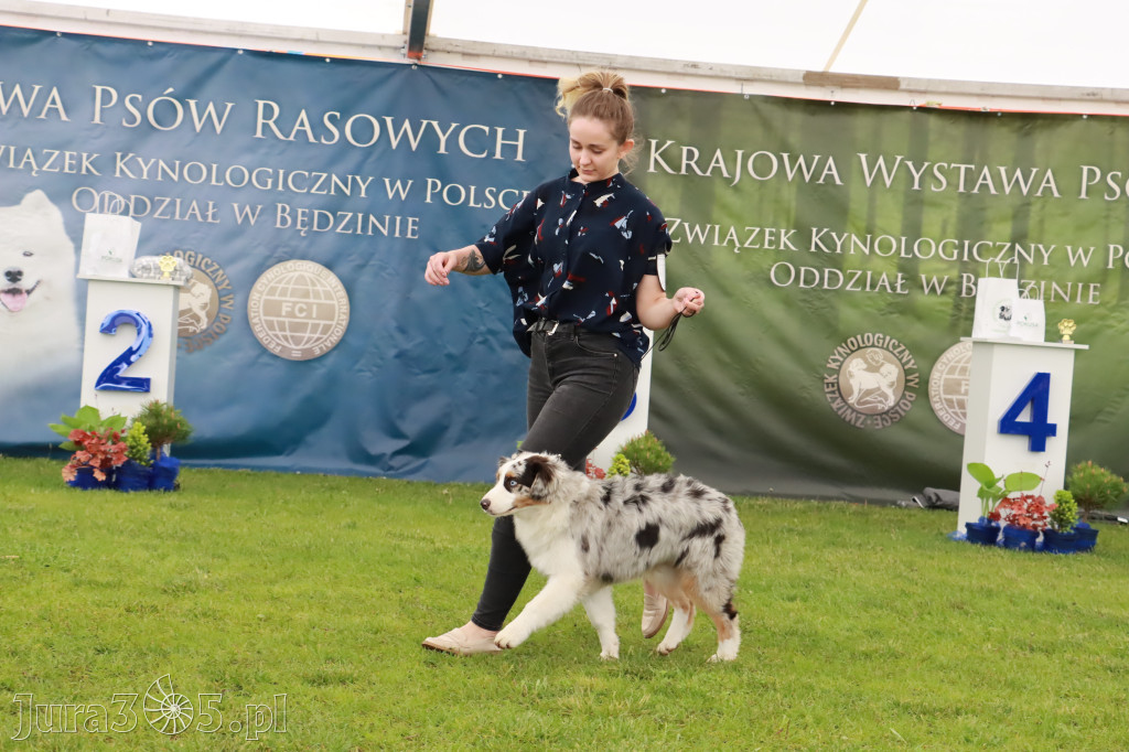 Wystawa Psów Rasowych w GNIAZDOWIE Konkurencje Finałowe