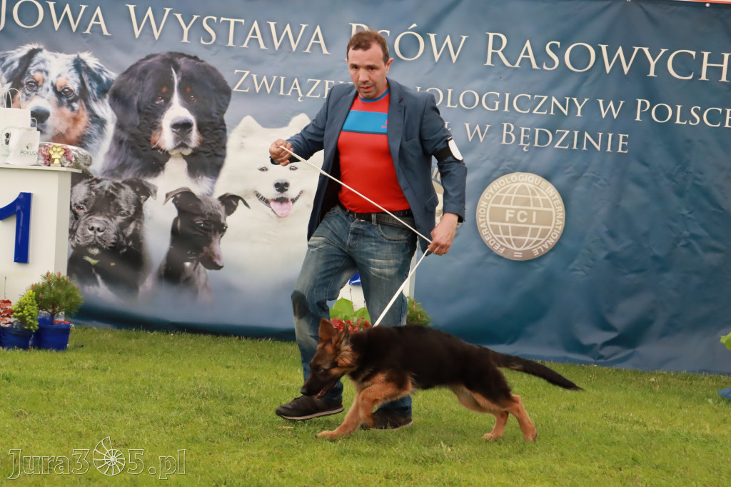 Wystawa Psów Rasowych w GNIAZDOWIE Konkurencje Finałowe