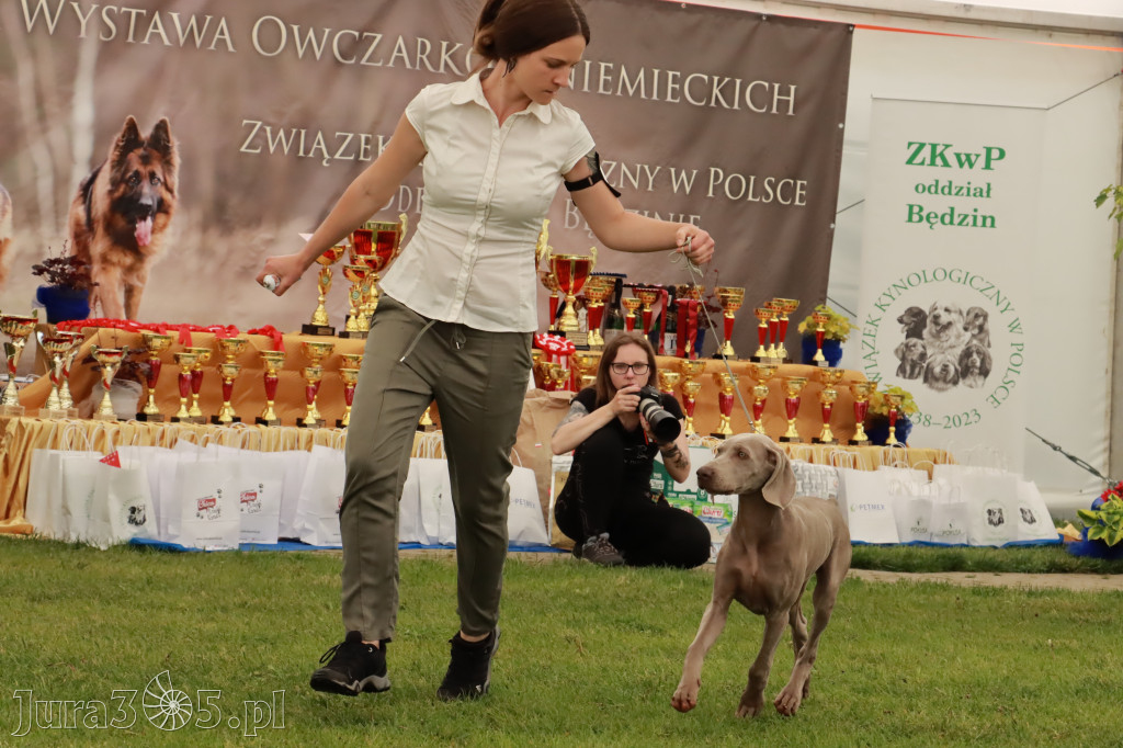 Wystawa Psów Rasowych w GNIAZDOWIE Konkurencje Finałowe
