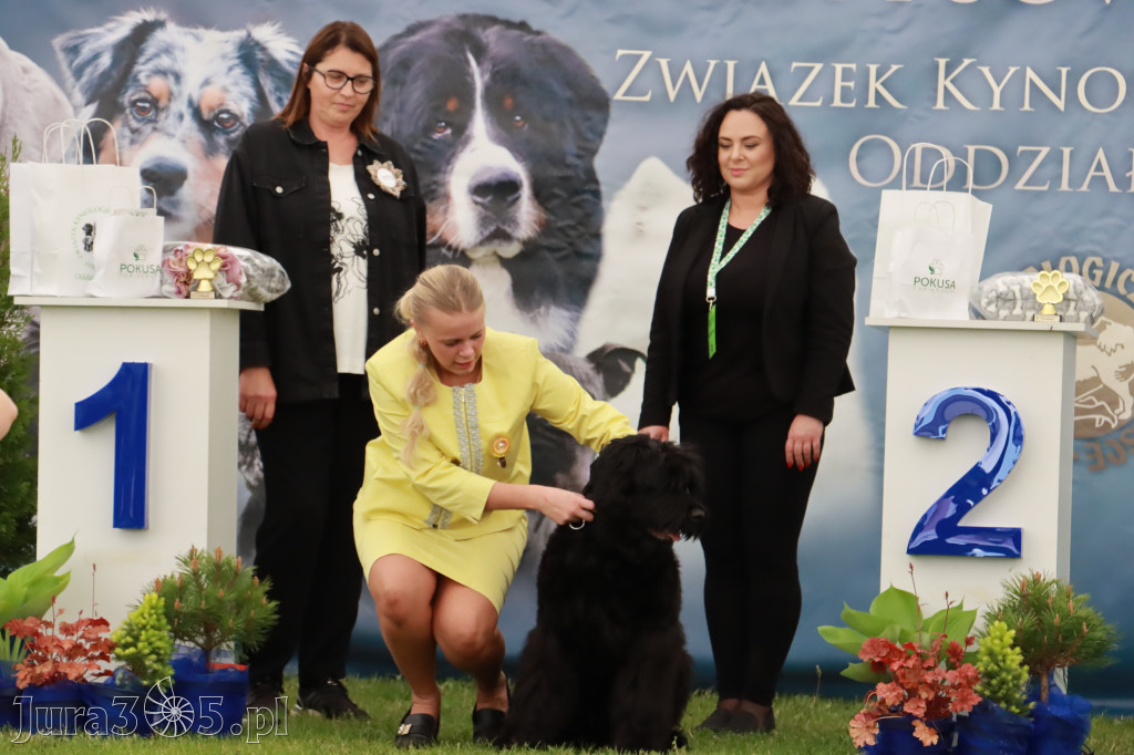 Wystawa Psów Rasowych w GNIAZDOWIE Konkurencje Finałowe