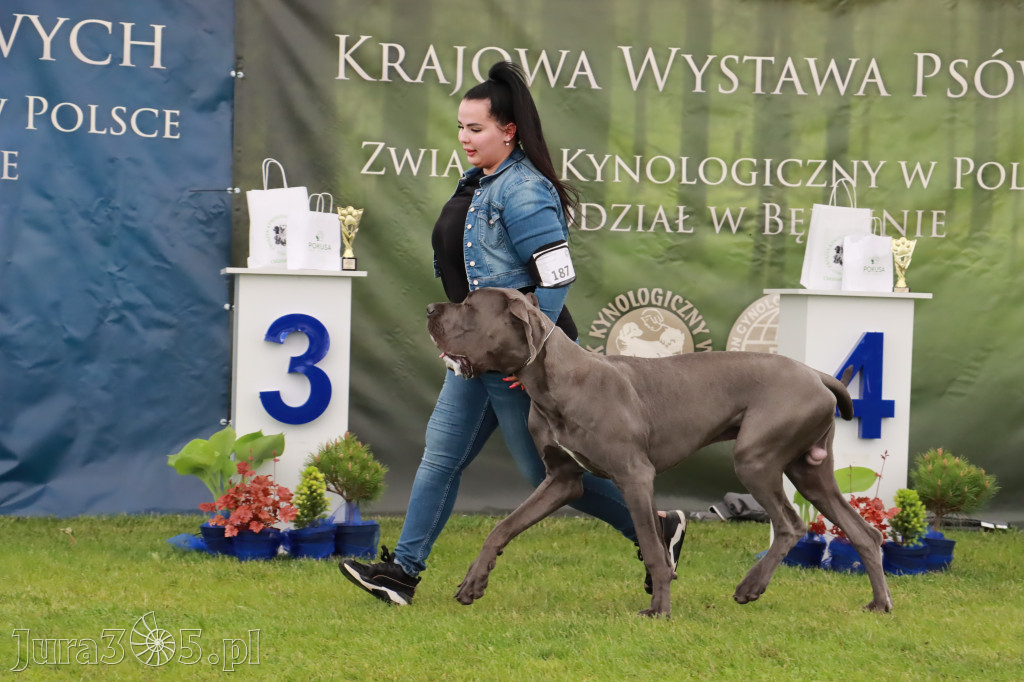 Wystawa Psów Rasowych w GNIAZDOWIE Konkurencje Finałowe