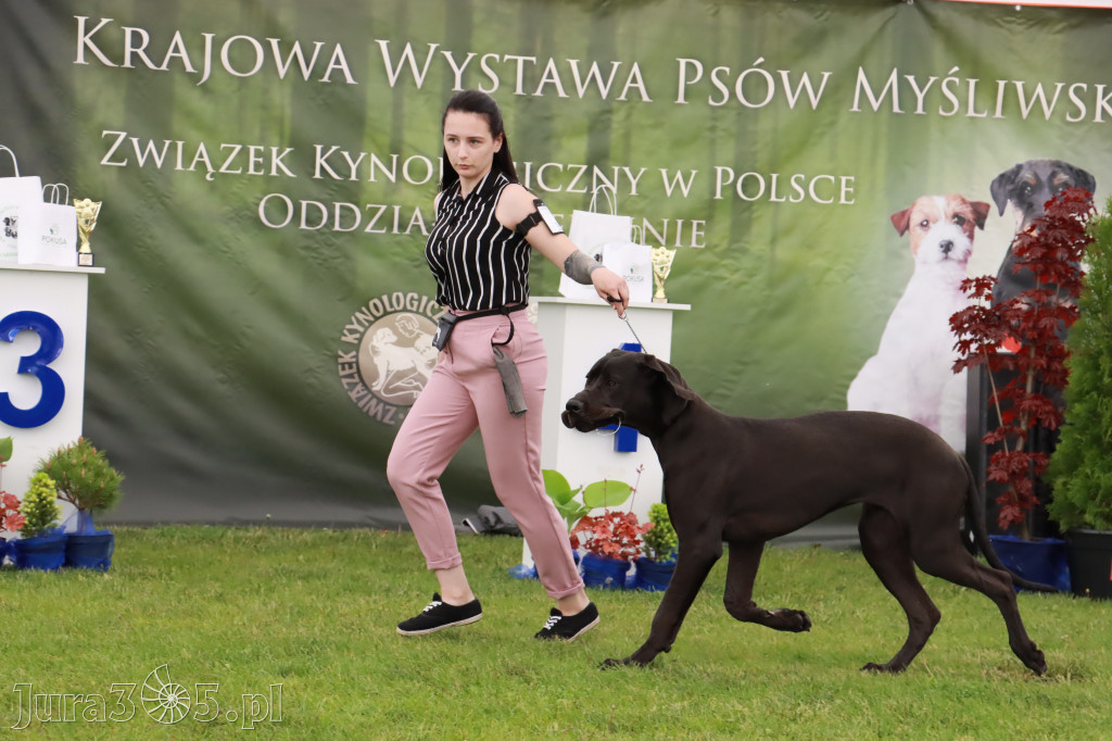 Wystawa Psów Rasowych w GNIAZDOWIE Konkurencje Finałowe
