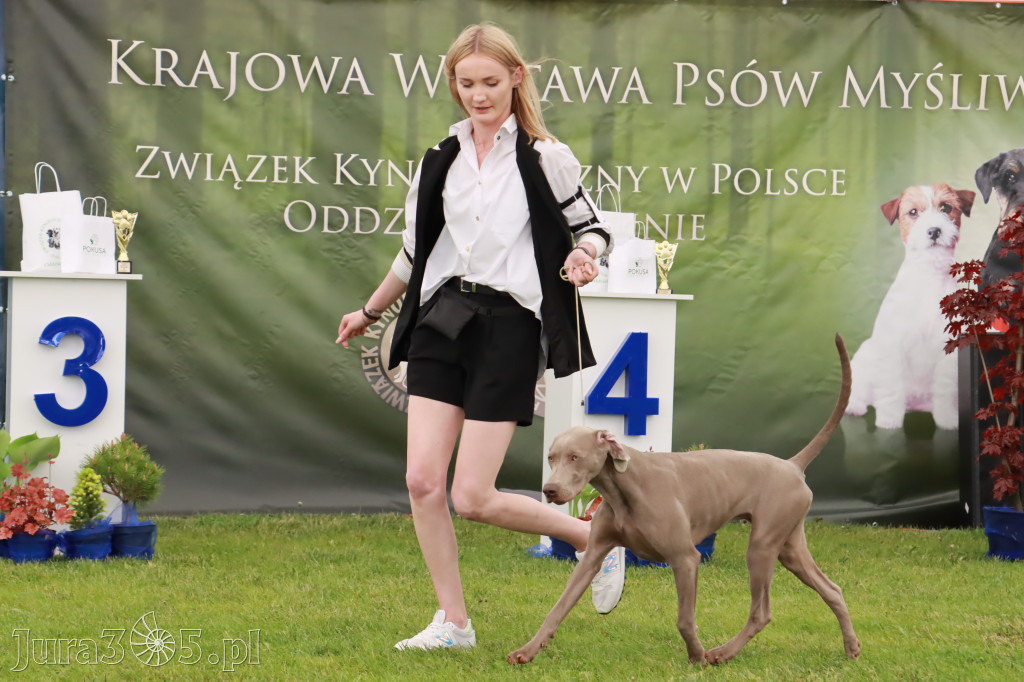 Wystawa Psów Rasowych w GNIAZDOWIE Konkurencje Finałowe