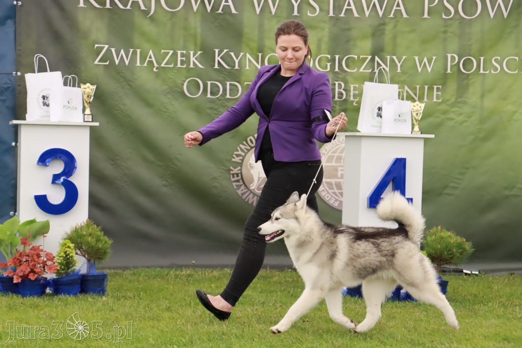 Wystawa Psów Rasowych w GNIAZDOWIE Konkurencje Finałowe