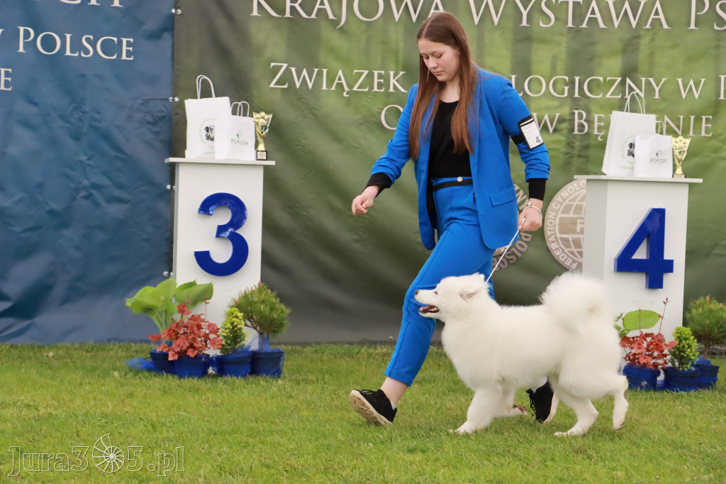 Wystawa Psów Rasowych w GNIAZDOWIE Konkurencje Finałowe