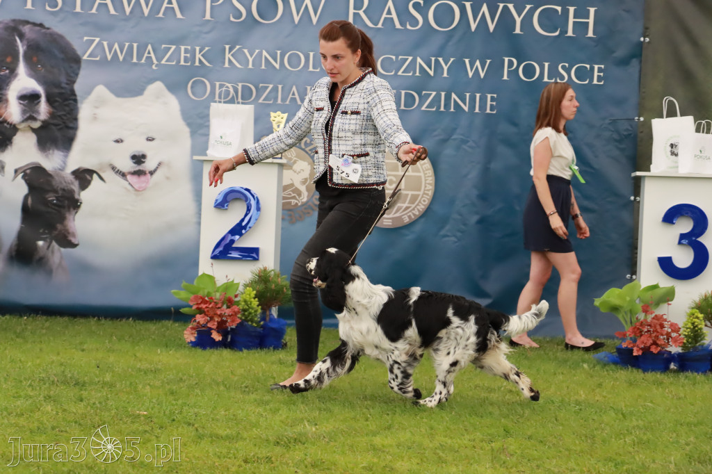 Wystawa Psów Rasowych w GNIAZDOWIE Konkurencje Finałowe