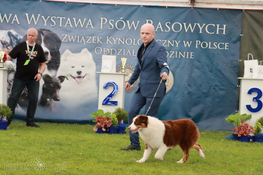 Wystawa Psów Rasowych w GNIAZDOWIE Konkurencje Finałowe