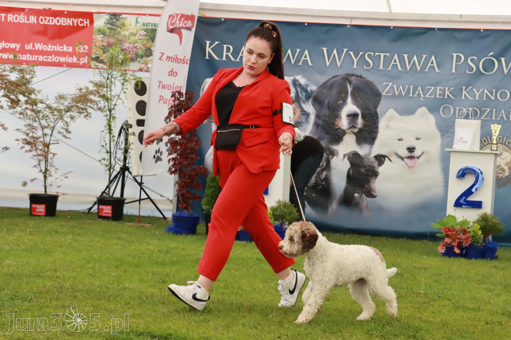Wystawa Psów Rasowych w GNIAZDOWIE Konkurencje Finałowe